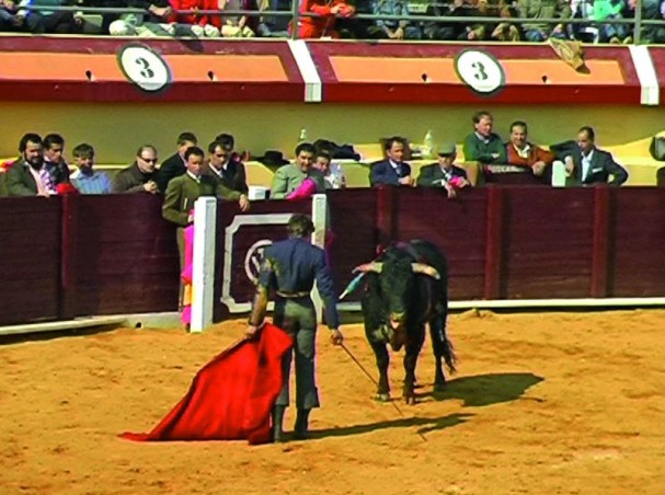 Encuentros – Begegnungen. Bildnerische und poetische Begegnungen mit Andalusien.